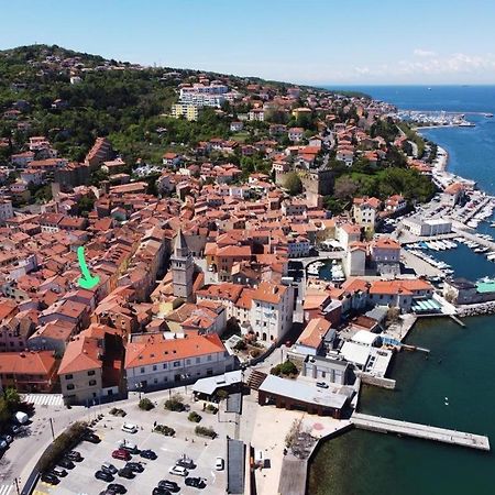 La Tana Di Alice Apartman Múggia Kültér fotó